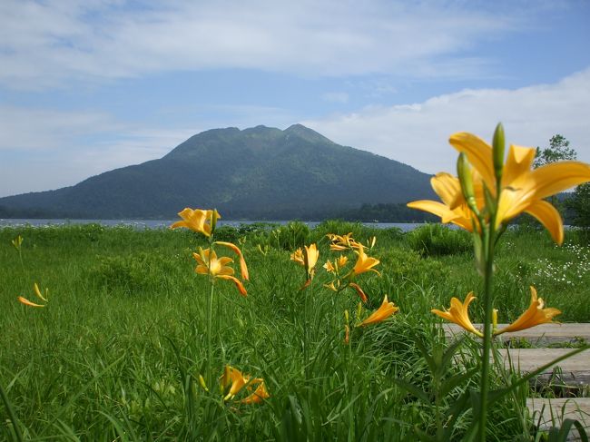 夜中１時、埼玉の自宅を出て尾瀬に向かいます。<br />今回は尾瀬沼に行くので東北道の西那須野塩原で下りて御池ロッジを目指します。<br />夏の尾瀬はオレンジ色のニッコウキスゲがいっぱい♪<br />その他にもアヤメやユリなど様々な花がたくさん咲いています。<br />高くそびえる燧ケ岳、キラキラ光る尾瀬沼、木道脇には色とりどりの花・・・<br />尾瀬ヶ原よりも２５０ｍ標高の高い尾瀬沼は涼しい♪<br />夏はやっぱり尾瀬沼コースが最高！<br />山の涼しい風に吹かれながら福島県と群馬県にまたがる尾瀬沼をグルリと歩いて来ました。<br />