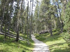 スイス国立公園（National Park）ハイキング