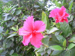 2008年　夏旅行　沖縄の旅　NO.3