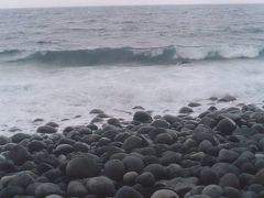 御蔵島で、いるか泳ぎ。