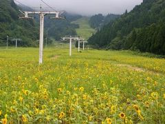 ［08］立山山麓スキー場の「ヒマワリ」