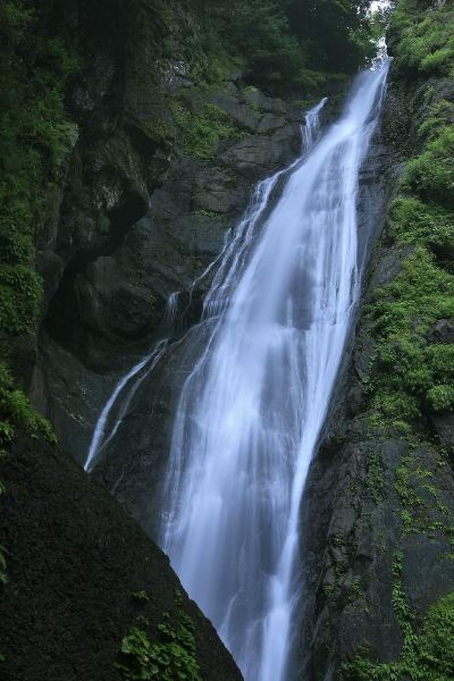 安倍の大滝は、静岡市を流れ太平洋に注ぐ一級河川「安倍川」の源流付近、安倍奥梅ヶ島温泉近くにあり、日本の滝百選に選定された滝です。別名「駿河大滝」「乙女の滝」と呼ばれています。<br />静岡の人に日本三大滝は？と聞くと、「那智の滝、華厳の滝、安倍の大滝」との答えが<br />帰ってくる時代があったとのこと。<br />（袋田の滝は可哀そうだが知名度が劣るらしい。。）<br /><br />安倍の大滝までのアクセスですが、静岡市内から県道29号線を<br />延々と安倍川に沿って遡ります。（途中県道27号線と重複あり）。<br />この道路は梅が島温泉が終点、ここから豊岡梅が島林道へとバトンタッチします。<br />この温泉の手前、約１ｋｍのところに遊歩道への入口があります。<br />（安倍の大滝入口のバス停付近。看板あり）<br />この安倍川源流付近には多くの滝がありますが、そちらは別にご紹介します。<br /><br />滝へのアプローチについてですが、<br />実際には上記林道の梅が島温泉と安倍峠の中ほど、鯉が滝付近に<br />滝にはより近い遊歩道というか登山道の入口があります。<br />ただし、道が急で且つあまり整備されていないので、<br />バス停付近の入口からアプローチするのが一般的です。<br />（実際に上からの入口は草の丈が高く、入ろうとは思えませんでした）<br /><br />下からの遊歩道は滝まで約３０〜４０分。<br />整備されてはいますが、急な登りあり、吊橋あり、<br />グレーチングの橋あり、丸木の橋ありとなってますので、女性のヒール等では危ないです。<br />歩きやすい靴がよいでしょう。<br /><br />ここの二番目のつり橋はとてもスリリング！<br />詳しくはこの後の写真をご覧ください。<br /><br />３０分強のトレッキングの後、貴方は雄大な滝を目にするでしょう。<br />四季折々の美しさを見せる安倍の大滝。<br />水量の多い時には飛沫のシャワーを浴びることができるでしょう。<br /><br />落差８０ｍ