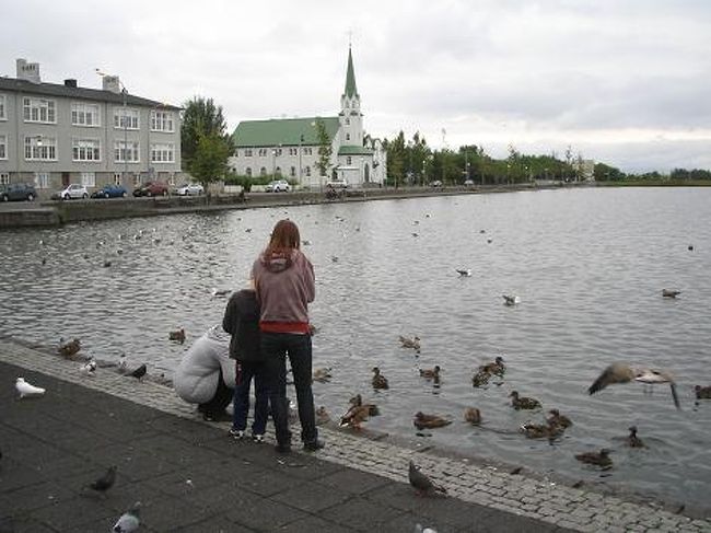 義理の妹が結婚するということでノルウェーでの結婚式に参加してきました。その前に５日間妹と一緒にアイスランド旅行も。お盆直後の高い時期で、物価高の北欧ですが、日本からの往復航空券は１年前予約の特典旅行で少し助かりました。ノルウェーでは私の家族も大集合。<br /><br />8/16(土)　11:40　成田 - 16:05　コペンハーゲン、スウェーデンのマルメでちょこっと遊ぶ<br />21:20　コペンハーゲン - 22:30　レイキャビク<br />8/17（日）　アイスランド南海岸と氷河湖ツアー参加<br />8/18（月）　レイキャビク観光、市内プール<br />8/19（火）　ゴールデンサークルツアー参加<br />8/20（水）　ブルーラグーンへ<br />8/21(木)　7:50　レイキャビク - 12:20　オスロ、車で結婚式会場へ<br />8/22（金）　式場の別荘滞在、ゲスト集合ディナー<br />8/23（土）　午後から結婚式、披露宴、夜までパーティー<br />8/24（日）　ゲスト集合ブランチ、午後QP実家へ<br />8/25(月)　13:15 オスロ　- 15:45 コペンハーゲン<br />8/26（火）　9:35 成田、そのまま仕事へ。<br /><br />