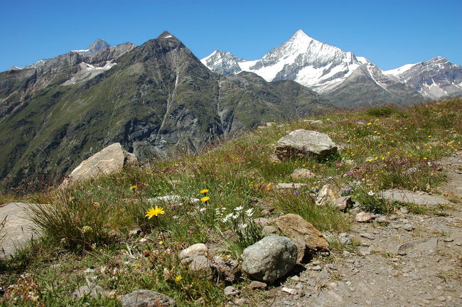 7月15日から30日までスイスへ個人旅行を行った。<br />今年は7月中旬に出発したがお蔭様で天気に恵まれました。しかし歳不相応に、かなり強行軍を行ったのでそれなりに疲れ、反省しています。はじめに旅行の概要を記します。<br /><br />7月15日　　晴。初めてスイス航空でZurich でZurich経由Samedanへ<br /><br />7月16日　　快晴。ハイキング用具が未到着のため世界遺産「ミュスタイアーの尼僧院」見学。<br />             Bernina Diavollezaからバスでイタリア領Livigno経由でMustairへ。　　　　　　<br /><br />7月17日　　晴、雨、後曇り。Segantiniヒュッテに登りPontresinaへ。前後にハイカーを見掛けなくなり<br />             焦り非常に疲れる。<br /><br />7月18日　　曇り、後晴。天気が今ひとつであったのでDiavolleza　展望台、その後St. Moritz、<br />              NailPizにケーブルで上る。<br /><br />7月19日　　快晴。今回のメインテーマでFuorcla Surlejから、Piz　Bernina、Piz　Rosegを眺めながら<br />             ゆったりとCoaz小屋付近まで行きVadret湖まで急降下し、Roseg小屋まで歩き、最終の<br />              馬車にやっと乗りPontresinaまで。歩きすぎを反省。<br /><br />7月20日　　晴。SamedanからZermatt　まで氷河特急で行く予定が、ドラマあり。<br /><br />7月21日　　晴。Sunega→Stelisee→Fluehutte　往復。足慣らしの積もり。<br /><br />7月22日　　晴。Kleinmatterhornに行く前に、Trockener Stegで途中下車しGandeckener Steg<br />             のヒュッテまで足慣らしのつもりで。<br />　　　　　　そこで昼食後、Trockener　Stegに下り、Kleinmatterhornにロープウェイ<br />            で上る。<br /><br />7月23日　　晴。誤ってOberrothorn（3,415ｍ）登頂。標高差434m＋112m＝546ｍ。<br /><br />7月24日　　晴。エーデルワイスの道ともいえるUnterrothorn→Furggji→Tufteren→Sunegaで<br />            エーデルワイスに大いに歓迎される。でも疲れる。<br /><br />7月25日　　晴。Matterhorn　Trailといわれる、SchwalzseeからStafelalp経由でZumuttに行く<br />            予定であったが回り道をしてZermattまで。<br /><br />7月26日　　曇り後晴。雨も時折降っていたので、BrigからSimplonトンネルを通りDomodossola<br />            （イタリア領でもスイスパス通用）土曜日の市を見学。<br /><br />7月27日　　St Gallenの世界遺産の僧院見学。<br /><br />7月28日　　Zurich空港よりスイス航空で帰国。<br />　　　　　　<br />　　　<br />　　　　　　<br />　　　