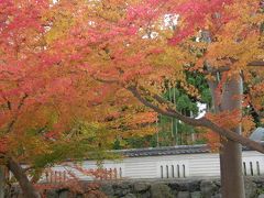 京都　かくれた紅葉の名所案内