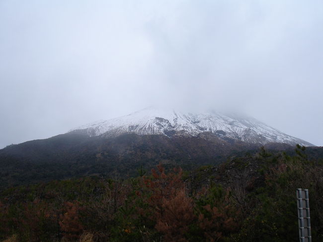 お正月休みにプラッと行った事のないところに行ってみようと、<br />無計画に出発(笑)<br /><br />今回のドライブはフェリーを上手く使って疲労を軽減できるかを<br />試してみました。結果は･･･あんまり変わらないな(笑)<br /><br />珍しく半分は車中泊、半分はビジネスホテル泊と豪華な旅になりました(笑)<br /><br />佐多岬から北上して桜島まで。<br />桜島からフェリーに乗って鹿児島市内に入りました。