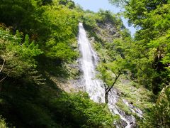 水すだれ探訪 #11～兵庫県(2)～天滝渓谷（養父市）