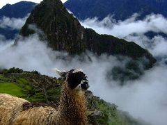 ペルー15日間の旅　マチュピチュ