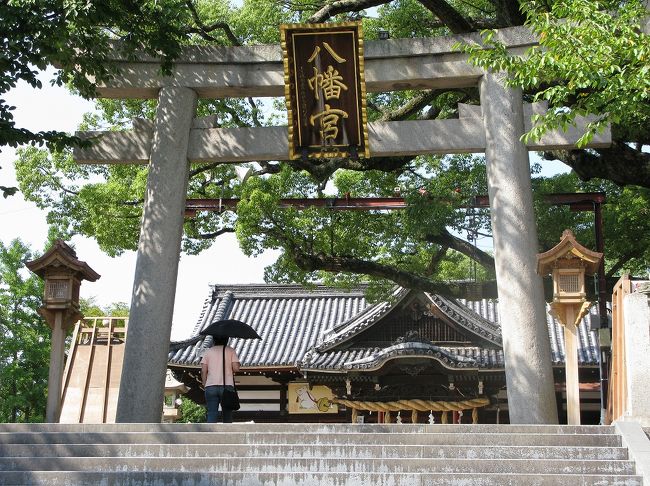 ＪＲ阪和線「百舌鳥」駅近くの百舌鳥八幡宮にいってきました。<br />欽明天皇（532〜571年）の頃に建立されたと伝えられ、重厚なたたずまいは歴史の古さを感じさせてくれます。本殿右前にある大くすは幹囲り５．２ｍ、樹高２５ｍで樹齢約８００年ともいわれている名古木で、府の天然記念物に指定されています。<br />また９月に開催される「ふとん太鼓」の宮入は勇壮で、毎年大勢の見物人が訪れます。<br />