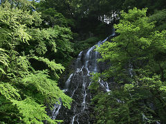 『日本の滝百選』　龍双ヶ滝。北陸を代表する名瀑は桂の木と相まってこそ美しい。　/福井県今立郡池田町