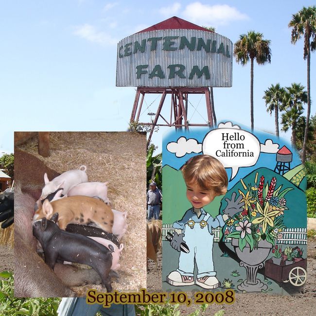 博覧会は開催者の収入源にもなりますから、カリフォルニアでは其々の群で County Fair　を催しています。　　オレンジ郡の博覧会(Orange County Fair)は毎年夏に行われ、開催場所は文字通り　Fair Ground。　<br /><br />オレンジ郡のフェアグラウンドの一郭にセンテニアル・ファーム(Centenniel Farm) が造られています。　　子供達が訪ねて農場とはどんな所かを経験します。<br /><br />９月１０日にＡと百年農園を訪ねました。　