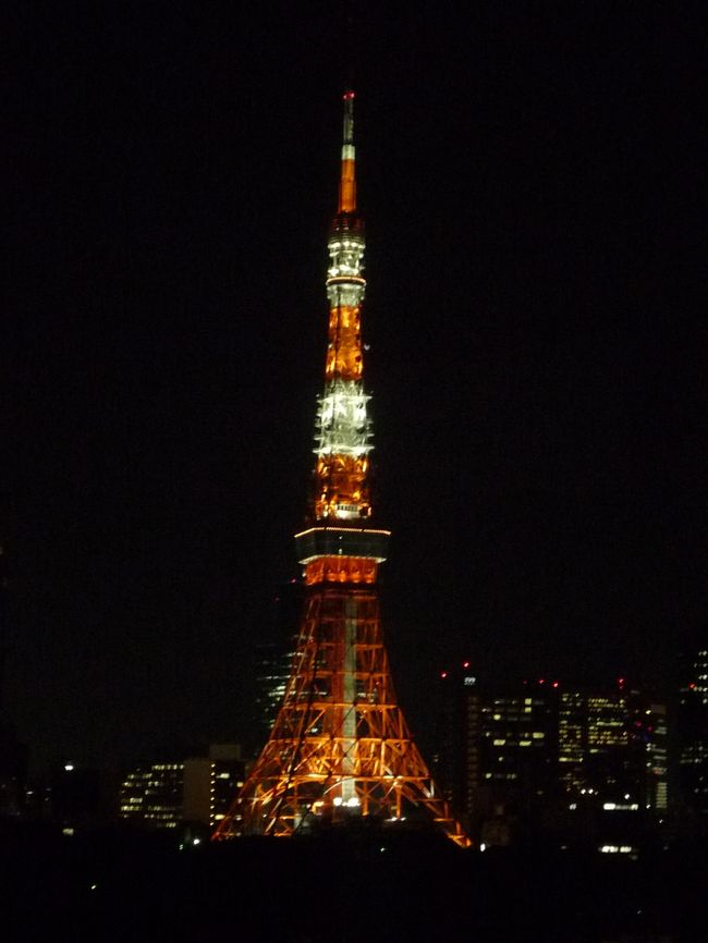 お得意さんが東京本社(今流行の東西２本社制です)に出張なので、こちらも東京本社を開拓せんと追いかけて東京本社のご担当を紹介してもらい商談に出張してきました。<br /><br />宿は狙いすまして｢東京グランドホテル｣。夜景の東京タワーを観賞できます。<br /><br />９月　９日　１０：３０伊丹⇒１１：４０羽田　<br />　　　　　　　宿泊東京グランドホテル(芝公園)<br />９月１０日　１４：３０羽田⇒１５：３５伊丹