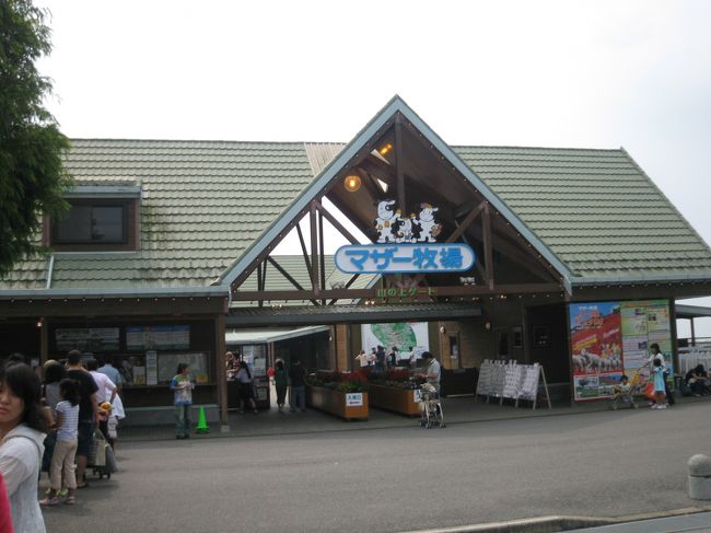 房総旅行2日目。<br />館山駅からローカル線に1時間ほど揺られ、君津へ。<br />君津駅から無料シャトルが出ていて、前日乗車予約しておきました。<br />無料シャトルで40分。<br />お昼頃にマザー牧場に到着。<br /><br />3連休のせいか、混んでいました。<br />入場券の他にマザーファームツアーのセット券もあります。<br />私と友達はアルパカが目的なので、もちろんセット券。<br /><br />夕方の無料シャトルは電車の都合で合わず、路線バスを利用。<br />路線バスは佐貫町駅行きで、20分の道のりでした。<br /><br />帰りは佐貫町駅から特急さざなみで新宿まで帰りました。<br />新宿行きは1日に1本のようです。