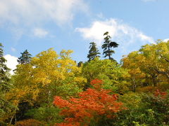 ぶらりとお散歩『日本で一番早い紅葉を見る』