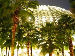 2008年シンガポールでのハイティ