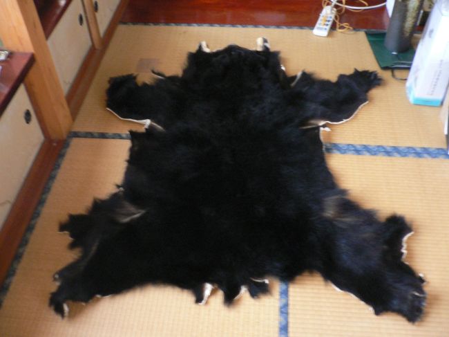 ちょっと山形に帰る用があったのだ。<br />帰りは仙台で牛タンでも食って帰るのだ。