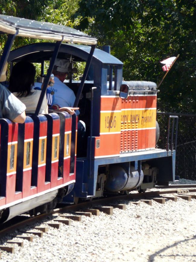 この日も朝から気持ちよく晴れて、鉄道好きの子供たちと一緒にロサンゼルスのグリフィスパークにある、トラベルタウンに出かけました。<br />グリフィスパークのトラベルタウンミュージアムには、アメリカ各地で活躍した蒸気機関車や、客車に貨車、工事用の特殊車両などが展示されていて、見て触って楽しめます。<br />