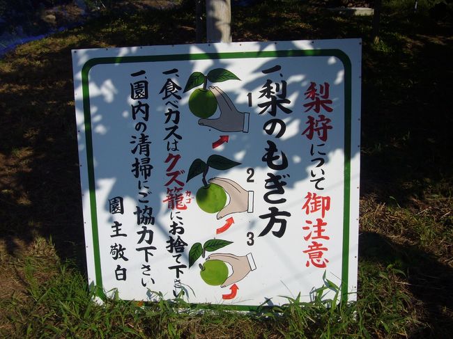 日本で一番人口の少ない県、ふるさと鳥取。<br />えっちらほっちら行って(帰って)きました。<br />鳥取もええがなぁ（鳥取もいいよね。）。<br />秋の鳥取東部観光ゴールデンコース!?を巡ってきました。<br /><br />秋・鳥取といえば、もちろん２０世紀梨！<br />親類が梨農園をやっているので、今年もお邪魔しました♪<br /><br />砂丘王国/梨狩り園一覧；http://www.z-tic.or.jp/site/page/fukube/guide/spots/experience/pear/<br />かろいち；http://www.karoichi.jp/<br />ちむら；http://www.toufuchikuwa.com/<br />前田商店；http://www.maeta-shoten.com/