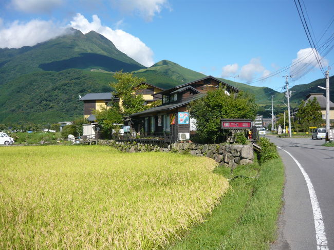 久し振りに由布院温泉に行ってきました。温泉のスケールは黒川とまでは行かなくとも由布岳の壮大な風景等や多彩な温泉、質の高いバーを考慮するととっても楽しい街です