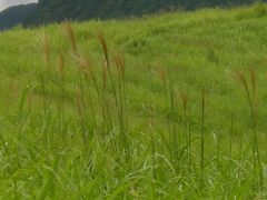 伊賀上野・青山・曽爾高原ドライブ