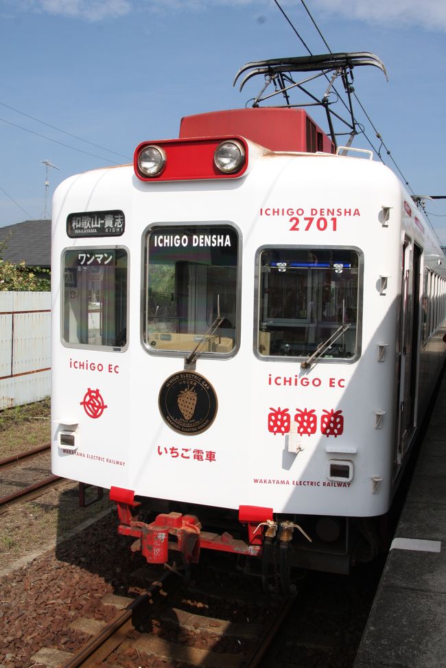和歌山電鉄貴志川線に乗って、長閑な里の秋を楽しんできました。<br />貴志川線は、和歌山から貴志まで１４駅、営業距離１４．３Ｋｍを約３０分で走ります。<br />終点の貴志駅には、話題のねこの駅長”たま”を見に、多くの人が訪れます。<br /><br />