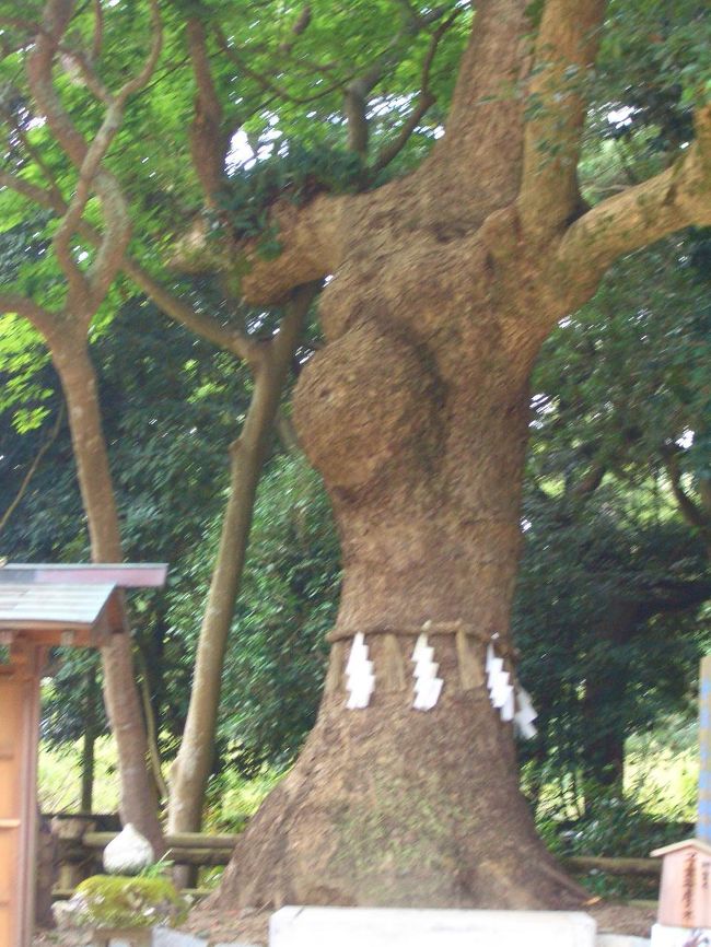 佐賀県唐津にある鏡神社は、ご神体が安産の守り神として有名です。<br />理由は見ればわかると思います。