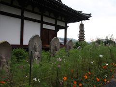 奈良散策：コスモス咲く般若寺