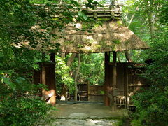 京都漫ろ歩き～　初秋の嵯峨野　２．祇王寺～滝口寺