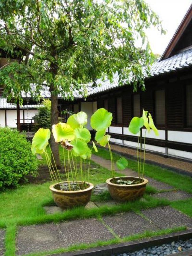 花の東京から足が遠のくこと早５年。<br /><br />仕事の関係で頻繁に出張していた頃は、出張に事欠いて下町散策個人ツアーに勤しむ、あー、懐かしき黄金の日々だったのだが、それも遙か古のこと。<br /><br />部署の異動に伴い、出張と言う名の羽をもがれた鳥は籠の中でさえずるのみ。<br /><br />このまま籠の中でピーピー鳴いていても埒があかぬ、籠を破って大空へ羽ばたこうではないか、花の東京へは己の翼を羽ばたいて行こうではないか…お前はイカロスかー？<br /><br />なーんて、今や東京への夜行バス市場はまさに戦国時代、各社が競っての価格競争、ついには往復で１１，０００円と言う破格の値段も出る有様、うぷぷ、なんて素敵なプライスだこと…。<br /><br />と言うことで、今回は超激安の貧乏旅行（今回もだろー。）、泊まりは当然の如くサウナと財布に優しく、財政再建に怠りない気配り（冬までにはダイビング旅行の資金を調達しなくてはと、四苦八苦…。）<br /><br />夜行バスは夢をのせてハイウェイを突っ走る、ひたすら東へ東へ…。<br />