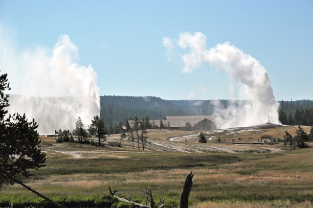 休暇が取れる度に国立公園ばかり旅してきましたが、その元祖であるイエローストーンとグランドティトンに５年目にしてやっと辿り着きました。<br /><br />イエローストーンといえば間欠泉から吹き上がる熱水。まず1・2日目は間欠泉が集中するガイザーカントリーを歩きました。<br /><br />Yellowstone National Park<br />http://www.nps.gov/yell/