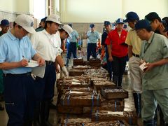 函館水産市場の朝の賑わい