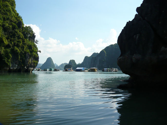 ハノイよりハロン湾への１日観光へ出かけました。乗り合いツアーへの参加です。日本からベトナムの旅行社(Hotels-in-vietnam.com)に予約を入れましたが、迎えに来たのはなぜか違う旅行社です。どこに申し込んだかにより参加料金が異なる模様ですが、ほぼ同じツアー内容で２５ＵＳドルから８５ドルＵＳドルまで幅があるようです。乗り合い日帰りツアーの構成は、日本語ガイド付日本人ツアーが７人、英語ガイドツアーで日本人２人、シンガポール人ひとり、イギリス人ひとり、イスラエル人３人です。英語ガイドのベトナム人と日本語ガイドの日本人が同行しました。私は英語ガイドツアーの一人ですが、日本語ガイドがいたので少し得した気分です。<br /><br />２５人乗りのマイクロバスがピックアップのためベトナム市内のホテルを巡ります。５，６箇所をめぐり、ハノイ市内を出るまでに１時間を費やしました。その後、渋滞中の道路、田舎道をひたすら走り、２時間ほどで陶器を販売する店でトイレ休憩です。店員はバスの到着とともに店に集まるようですが、商売っ気は全くなし。受身に徹しています。休憩後、さらに１時間半ほどでハロンの町に到着しました。<br /><br />バスには１泊２日、２泊３日のツアー客も同乗していましたが、船着場で別れ、日帰りツアーの面々だけが同じジャンク船に乗り込みました。ジャンク船は１階が食堂、２階がオープンデッキになっています。日差しが強いため、２階には上がりませんでしたが、時々船首に行き、写真をとっていました。ジャンク船の乗ること２０分ほどで小島に囲まれた入り江に浮かぶ生簀に船が到着し、生簀に渡って、生簀にある魚類の見学となります。昼食で追加したい魚類を購入することができます。比較的大きな蝦蛄エビを購入し、食卓に追加してもらいました。生簀を見ている間にセットメニューの昼食が食堂に並びます。ツアー料金によって少し料理が違う様で、英語ガイドはしきりに着席位置を指定します。エビが一皿追加されているかが料理の違いのようです。料理は食べきれない量です。飲み物を別料金で注文します。昼食は船を止めた状態で食べます。昼食後は船を水上生活者がいる入り江に移し、そこでカヤック遊びか小型ボートでの入り江探索にツアーが別れます。私の申し込んだツアーはカヤック付だそうですが、水に濡れてもよい格好ではなかったので、カヤックはパスして小型ボートのツアーに参加しました。２０分ほどで入り江を探索するものですが、一人３ドルの別料金が必要です。ハロン湾の島は石灰岩のようでところどころにトンネルができていたり、鍾乳洞があります。小型ボートとカヤックのツアーの後は船に戻り、鍾乳洞を目指して移動です。鍾乳洞がある島の入り江の船着場に船を止め、次は鍾乳洞見学です。暑い中、石段を登り鍾乳洞に入ります。鍾乳洞の中では涼がとれると期待していたのですが期待はずれ、涼しいのは確かですが汗が止まる涼しさではありません。ガイドの説明に耳を傾けながら、鍾乳洞を巡り、上陸したところとは違う場所に降りてきます。後は見学中に移動されていた船に乗り、ハロンの町の船着場へと向かいます。船着場に戻ったのが夕方５時過ぎ、一路ハノイを目指して戻ります。戻りの途中でも１回のトイレ休憩が入り、ハノイ市の西湖側（北）からハノイ市街へと入っていきました。夜８時過ぎにホテルの近くで下車、ツアーが終了です。晴天に恵まれ、ゆっくり過ごした１日でした。ハロン湾には観光ジャンク船が２百艘あるとのこと、船ごとに回るところは違います。鍾乳洞もハロン湾内のあちこちの島にあり、どこに行くかは乗った船により異なる様です。往復のバスの時間を考えると１泊２日がお勧めとのことです。英語ツアーのガイドは２１歳のハノイ大学の男子学生、経済と観光を専攻しているとのことです。<br /><br />