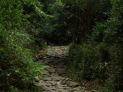 またまた一人旅（世界遺産熊野古道馬越峠編）