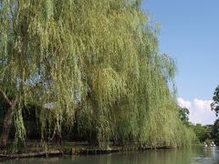 ３度目の九州（福岡　熊本　大分）福岡編