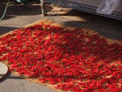 旨いもの食べるのに船で行く韓国釜山 秋