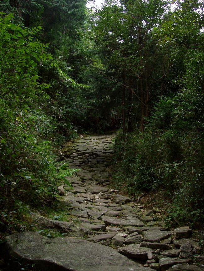 前回の京都に引き続き、熊野古道馬越峠に行って来ました。<br />今回は日帰りです。<br /><br />四日市〜道の駅海山まで車で２時間半くらいでしょうか。<br />そこから馬越峠入口鷲毛バス停まで歩いて行きます。<br /><br />鷲毛バス停→馬越峠→尾鷲駅まで２時間半くらいです。<br />ちなみに私は体力には自信がある方なので、普通なら３時間半見ておけば間違いないと思います。<br /><br />