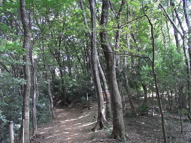 ナショナルトラストに興味を持ち始めて、<br />埼玉県のトトロの森がそうだと知り、早速出かけてきました。<br /><br />杉林とは違い、雑木林の森は動物がたくさんいることだろうなあと思いながら、歩きました。