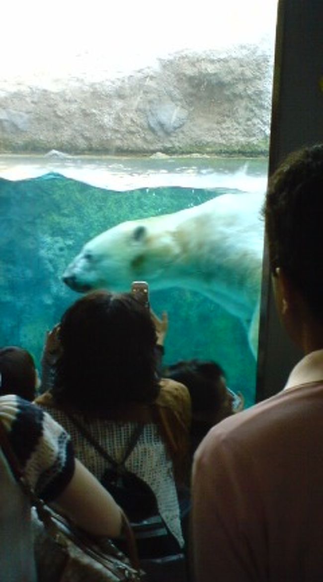 ついに来ちゃいました、旭川動物園。<br />評判ですからね〜。楽しみです。<br /><br />