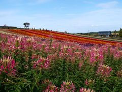 秋色の北海道へ（後編）