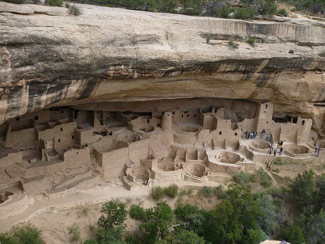 　４日目は、モニュメントバレー〜フォー・コーナーズ 〜世界遺産（文化遺産）　メサ・ヴェルデ国立公園〜パゴサ スプリングス(Pagosa Springs Inn and Suites泊）という工程でした。<br /><br />４日目　総移動距離　４９１．２ｋｍ<br />・モニュメントバレー〜フォー・コーナーズ 　１９２ｋｍ、９時３４分発〜１１時２５分着<br />・フォー・コーナーズ 〜世界遺産（文化遺産）　メサ・ヴェルデ国立公園　７０．４ｋｍ、１１時４５分発〜１２時４５分着<br />・世界遺産（文化遺産）　メサ・ヴェルデ国立公園〜パゴサ スプリングス(Pagosa Springs Inn and Suites泊）　２２２．８ｋｍ(<br />内公園内移動　８１．６ｋｍ）、１６時４６分発〜１８時２８分着<br /><br />　写真はこのたび二つ目の世界遺産　メサ・ヴェルデ国立公園の遺跡の中で最大規模のクリフ・パレスです。レンジャー引率ツアーに参加すれば近くにいって中をみることもできますが（はしごを降りたり上ったり大変そうですが）、遠くからでもこんな感じで、古代の方が住んでいた集落を見ることもでき、なかなか感動でした。