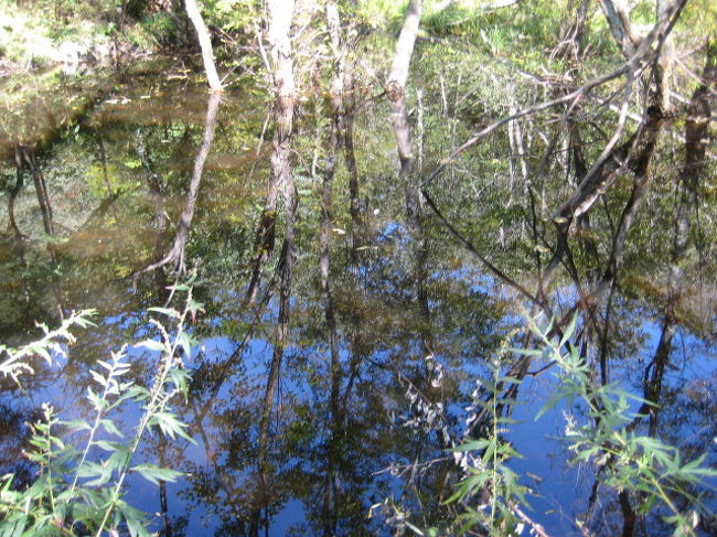 10/2　大正池から明神池まで３時間ちょっと歩きました。<br />紅葉はこれからといった感じです。<br />少しずつ更新していきます。