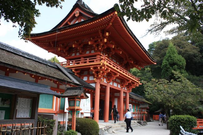 京都世界遺産めぐり?「加茂別雷神社（上賀茂神社）」<br />１９９４年に古都京都の文化財として世界遺産に登録された。<br /><br />下鴨神社と並び、京都でもっとも古い神社で、天武天皇の御代（６７８）、現在の社殿の基が造営されました。<br />緑あふれる広大な敷地、一ノ鳥居から二ノ鳥居までは、競馬（くらべうま）などの五穀豊穣の神事が行われる開放的な芝生となっています。<br /><br />国宝：本殿・権殿の２棟<br />重要文化財：３４棟<br /><br /><br />◎「国宝・本殿特別参拝とご神宝の拝観」<br /><br />拝観料：５００円<br />