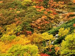 紅葉前線ここにあり！中央アルプス駒ケ岳ロープウェイで行く千畳敷カールから一足先に秋をお届け。/宝剣岳、木曽駒ケ岳にダケカンバ、ナナカマドが彩りを添える　/長野県駒ケ根市