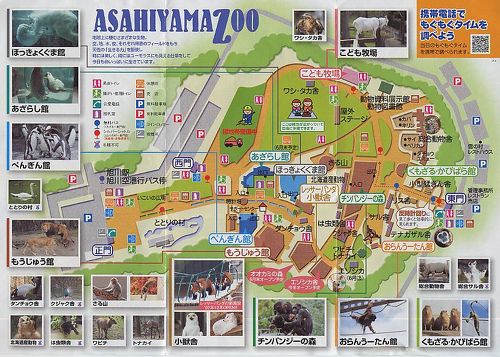 t*7様 新作　旭山動物園-寒風山展望台2種-和歌山電鉄4種コンプ＋ゴタマ記念メ 旭山動物園・・北海道紀行その2』旭川(北海道)の旅行記・ブログ