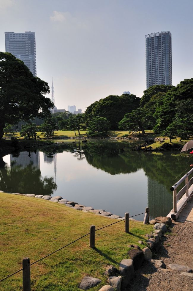 現在は福岡赴任中の私。<br />東京出張の際の定宿は五反田にある。<br />そういや～、五反田には都営浅草線が通っているんだよな。<br />そうだ、出張ついでに浅草観光しよ～っと思いつく。<br /><br />ただ浅草行くのも芸がないんで、浜離宮恩賜庭園から水上バスで浅草に向かおう！<br /><br />うららかな秋の日の絶好の東京観光プランだね♪