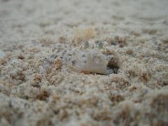 彩子と行く　久米島☆宮古島　１日目