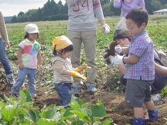 ウィッキーさんと行く農業体験キッズ英会話ツアー