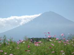 富士五湖から見た富士山