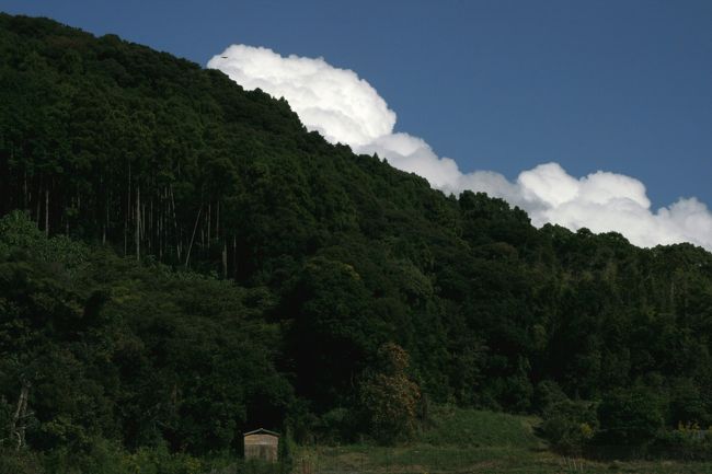 10月10日は空を見る日。<br />何時もは玉を追っかけ地面を見る時間が多いですが、<br />今日は10月10日の空を見る日なので、ゴルフプレーしながら空を仰ぎ見ました。<br /><br />『空を見る日』 <br />長野県の文化グループ「信濃にやか」が制定。<br />この日の午前10時10分に、日本じゅうで空を見上げて、その美しさを語り合おうと提唱している。日付は東京オリンピックの開会式が行われた日の青空の美しさからと、10をテン（天）と読む語呂合わせから。 <br />