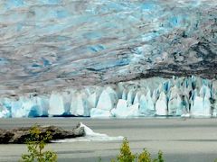 展望列車で行くアラスカと氷河クルーズ　 